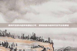 贵州开发的小程序有哪些公司，贵阳微信小程序开发平台有哪些