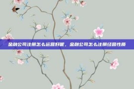 金融公司注册怎么运营好呢，金融公司怎么注册经营性质