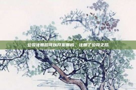 公司注册后可以开发票吗，注册了公司之后