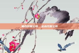 黄石代账公司，浠水代账公司