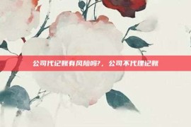 公司代记账有风险吗?，公司不代理记账