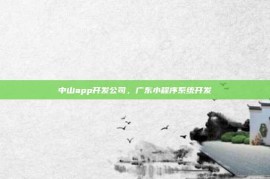 中山app开发公司，广东小程序系统开发