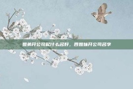 姐弟开公司起什么名好，四姐妹开公司名字