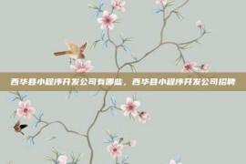 西华县小程序开发公司有哪些，西华县小程序开发公司招聘