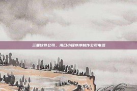 三亚软件公司，海口小程序序制作公司电话