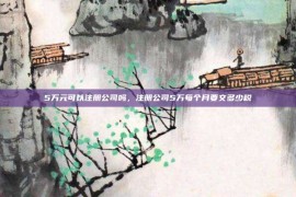 5万元可以注册公司吗，注册公司5万每个月要交多少税