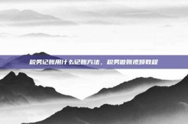 税务记账用什么记账方法，税务做账视频教程