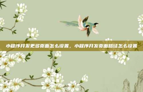 小程序开发更多页面怎么设置,小程序开发页面路径怎么设置