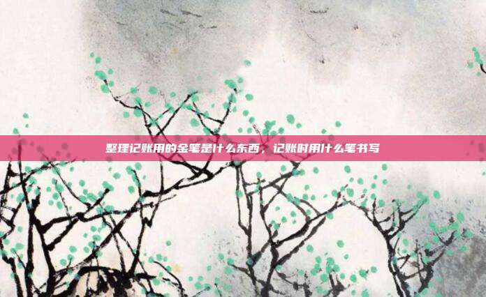 整理记账用的金笔是什么东西，记账时用什么笔书写