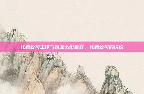 代账公司工作气氛怎么形容好,代账公司的说说