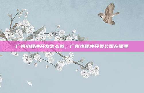 广州小程序开发怎么做,广州小程序开发公司在哪里