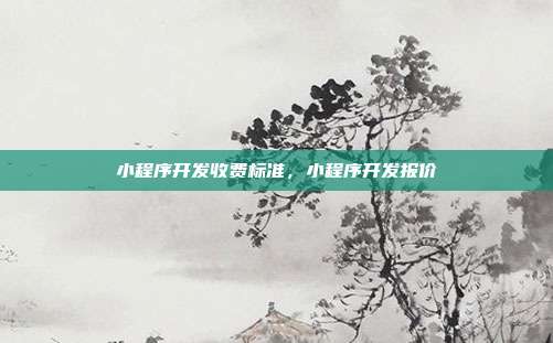 小程序开发收费标准，小程序开发报价