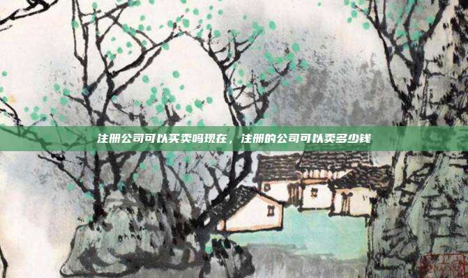 注册公司可以买卖吗现在，注册的公司可以卖多少钱