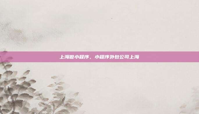 上海做小程序,小程序外包公司上海