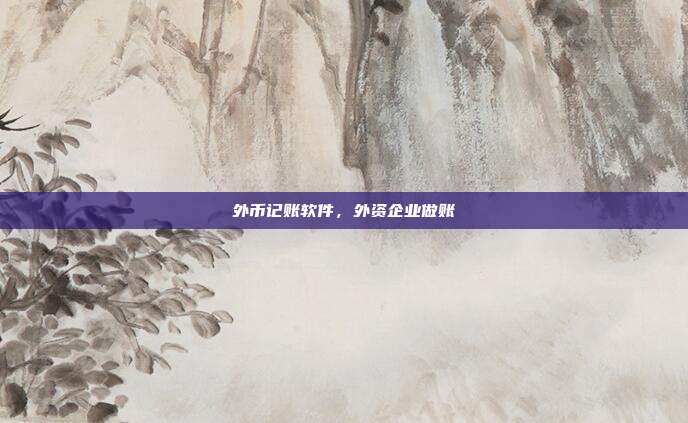 外币记账软件,外资企业做账