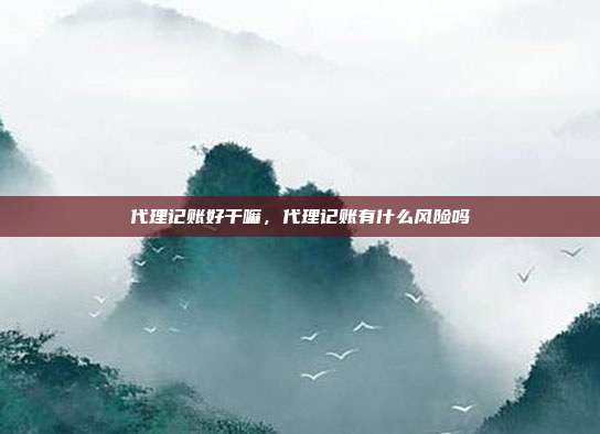 代理记账好干嘛，代理记账有什么风险吗