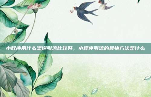 小程序用什么渠道引流比较好,小程序引流的最快方法是什么