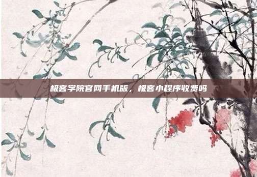 极客学院官网手机版,极客小程序收费吗