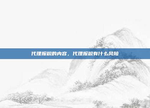 代理报税的内容,代理报税有什么风险