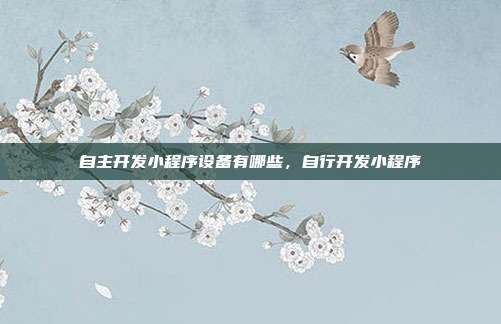自主开发小程序设备有哪些,自行开发小程序