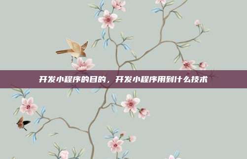 开发小程序的目的,开发小程序用到什么技术
