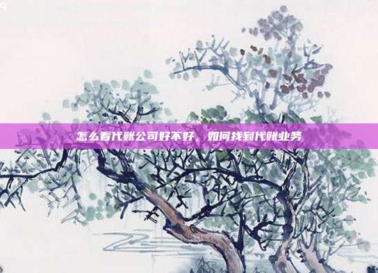 怎么看代账公司好不好,如何找到代账业务