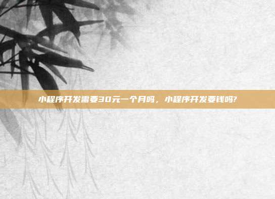 小程序开发需要30元一个月吗,小程序开发要钱吗?