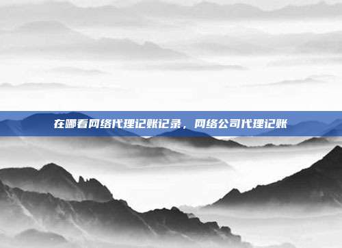 在哪看网络代理记账记录,网络公司代理记账