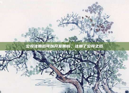公司注册后可以开发票吗,注册了公司之后