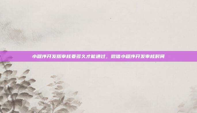 小程序开发版审核要多久才能通过,微信小程序开发审核时间