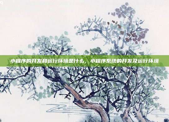 小程序的开发和运行环境是什么,小程序系统的开发及运行环境