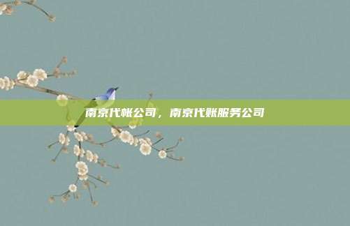 南京代帐公司,南京代账服务公司