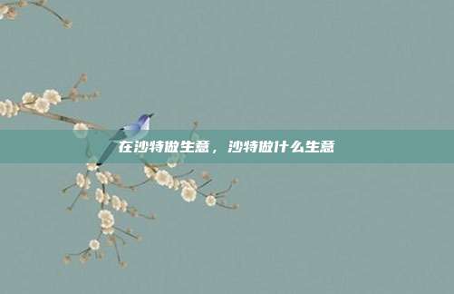 在沙特做生意,沙特做什么生意