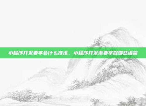 小程序开发要学会什么技术，小程序开发需要掌握哪些语言