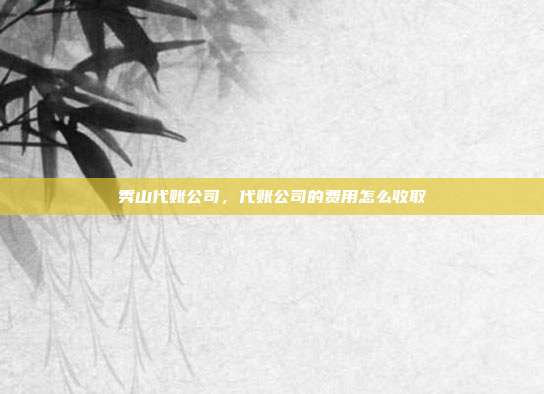 秀山代账公司,代账公司的费用怎么收取