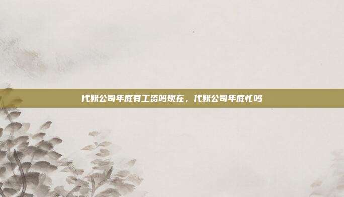 代账公司年底有工资吗现在,代账公司年底忙吗