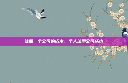 注册一个公司的成本,个人注册公司成本