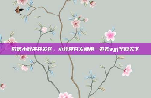 微信小程序开发区，小程序开发费用一览表wgj华网天下