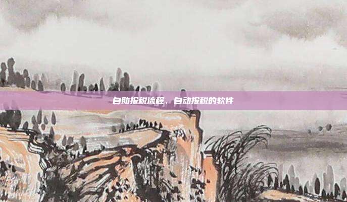 自助报税流程,自动报税的软件