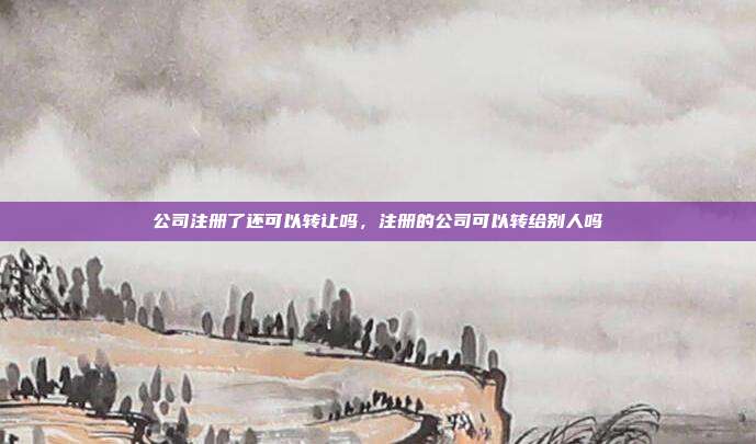 公司注册了还可以转让吗,注册的公司可以转给别人吗