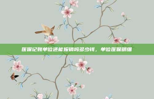 医保记账单位还能报销吗多少钱,单位医保明细