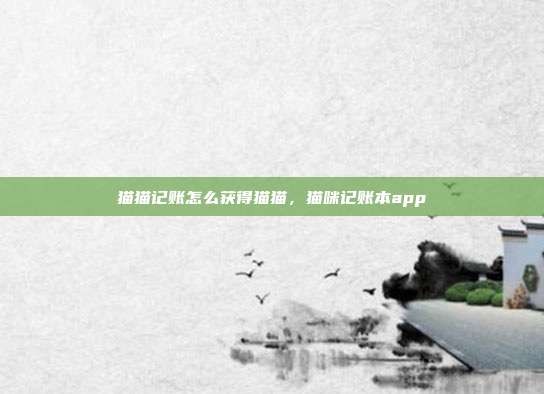 猫猫记账怎么获得猫猫,猫咪记账本app