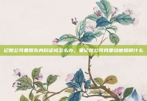 记账公司要股东身份证吗怎么办,要记账公司我要给他提供什么