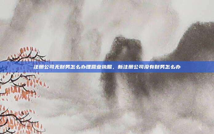 注册公司无财务怎么办理营业执照,新注册公司没有财务怎么办