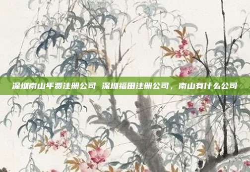 深圳南山年费注册公司 深圳福田注册公司,南山有什么公司
