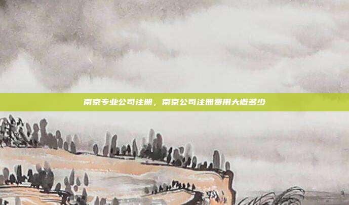 南京专业公司注册,南京公司注册费用大概多少