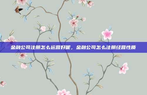 金融公司注册怎么运营好呢,金融公司怎么注册经营性质