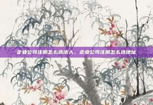 企业公司注册怎么选法人,企业公司注册怎么选地址