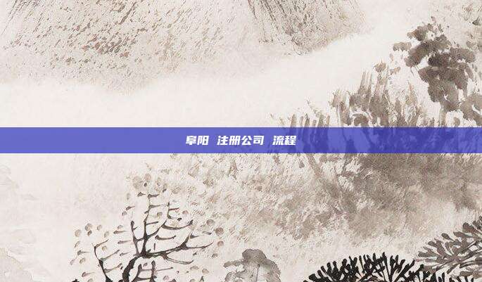 阜阳 注册公司 流程