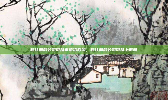 新注册的公司可以申请贷款吗,新注册的公司可以上市吗
